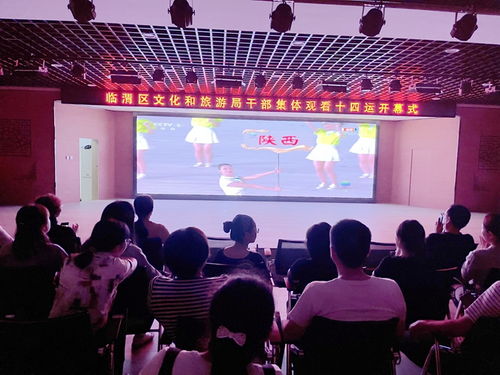 臨渭區(qū)文化和旅游局 觀十四運盛會開幕 展文旅融合新風(fēng)采